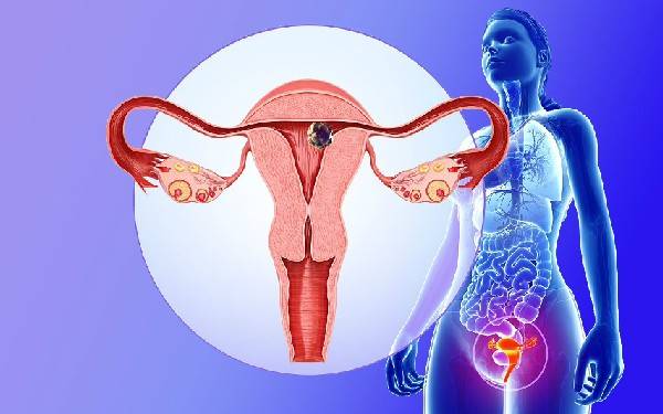 输卵管堵塞的六个明显症状，早发现才能早治疗