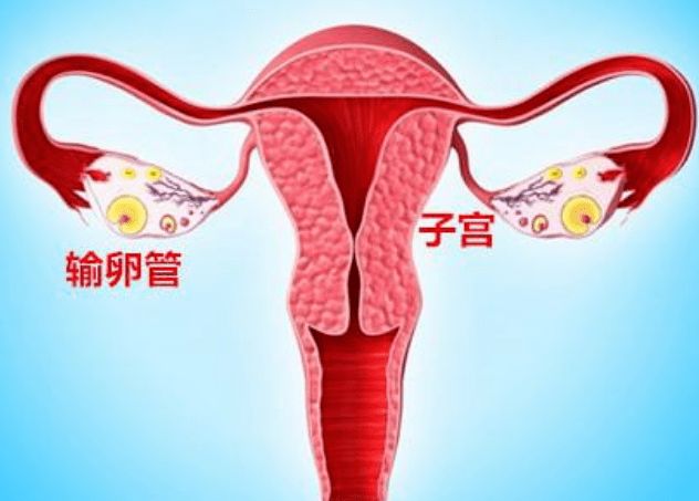 双侧输卵管不见显影是什么意思？双侧输卵管切除可以做试管婴儿吗？