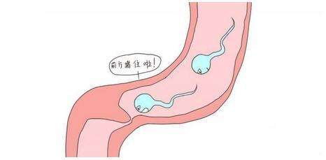 输卵管堵塞是什么样的原因造成的？会不会导致女性不孕？