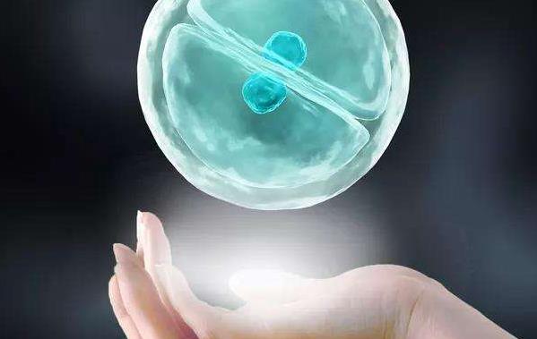 流产两次不完全子宫纵膈，输卵管堵塞试管婴儿的成功率高吗？